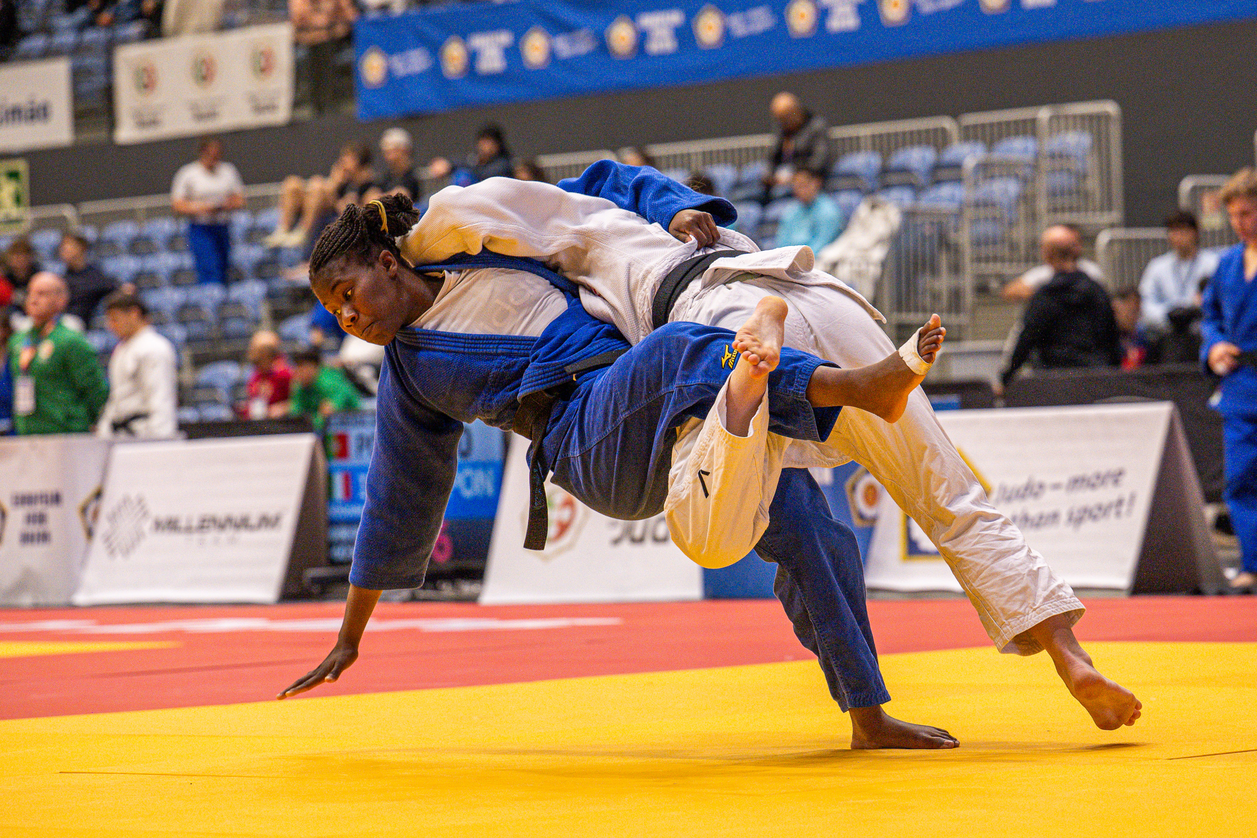 Golden Comeback for Cvjetko Headlines Day One in Portim&atilde;o